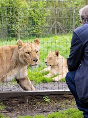 Virgin Experience Days Longleat Lion VIP Encounter with Park Admission - Image 3 of 4