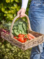 Dibor Brown Medium Basket with Handle - Image 1 of 5