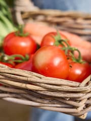 Dibor Brown Medium Basket with Handle - Image 3 of 5