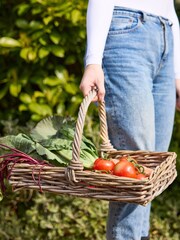 Dibor Brown Medium Basket with Handle - Image 5 of 5