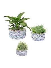 Dibor Set of 3 Blue Planters - Image 2 of 6