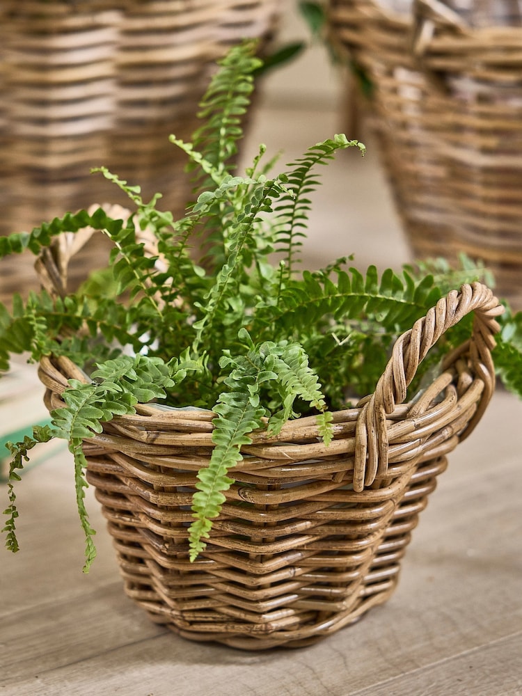 Dibor Brown Lined Basket with Handles - Image 1 of 5