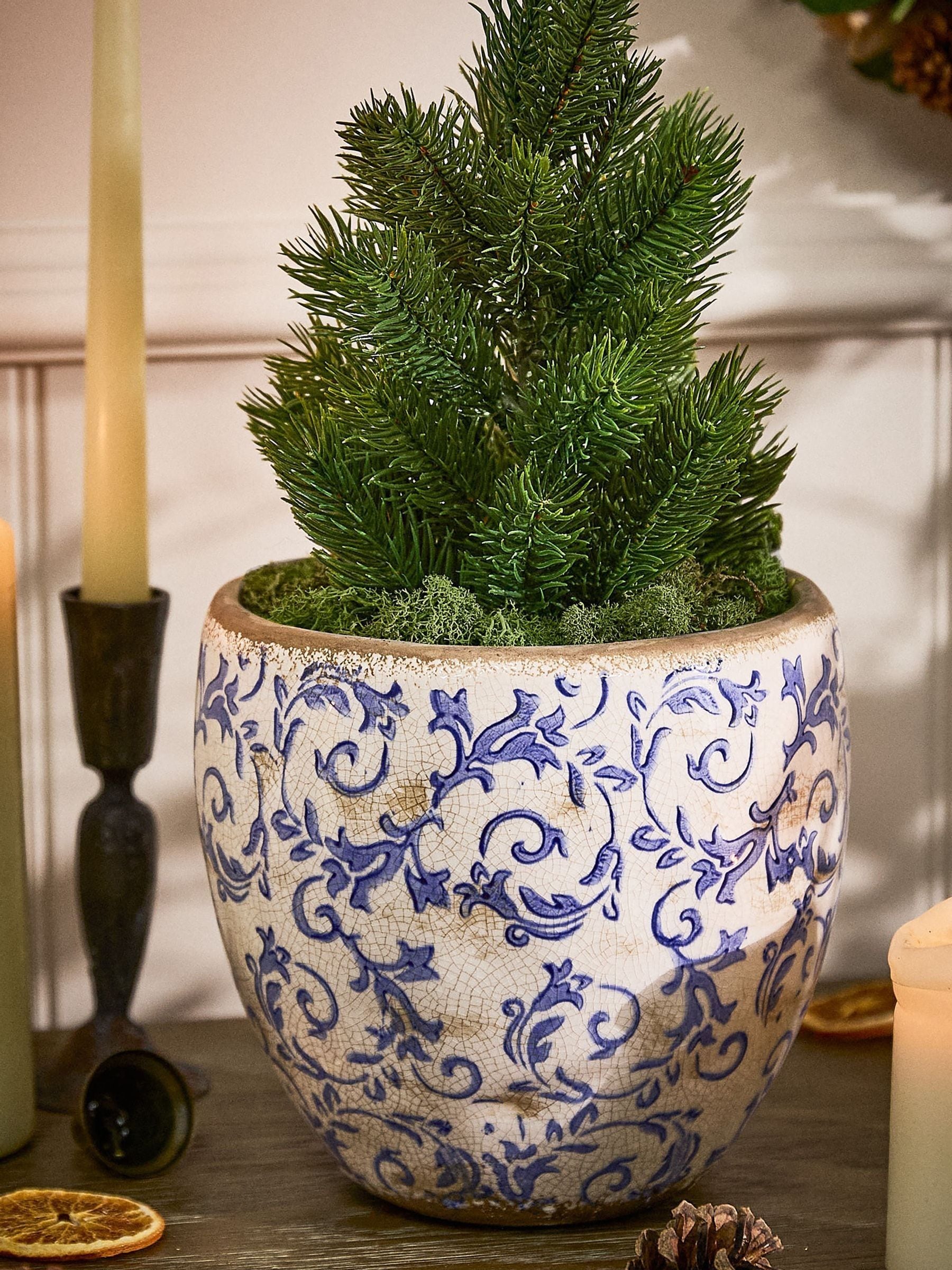 B&Q - Vintage Style Luxury Solene Blue Botanical Flower Planter H17 X Dia. 18.5Cm - Image 2