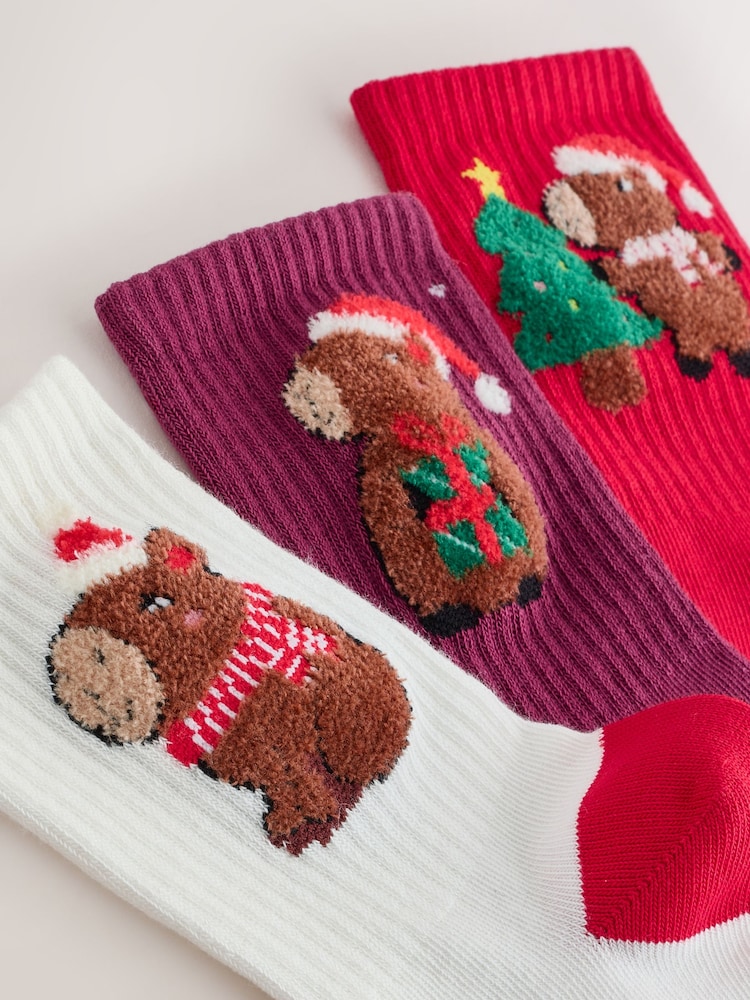 Red, White and Blue Cotton Rich Christmas Capybara Character Ankle Socks 3 Pack - Image 2 of 3 Red, White and Blue Cotton Rich Christmas Capybara Character Ankle Socks 3 Pack - Image 2 of 3