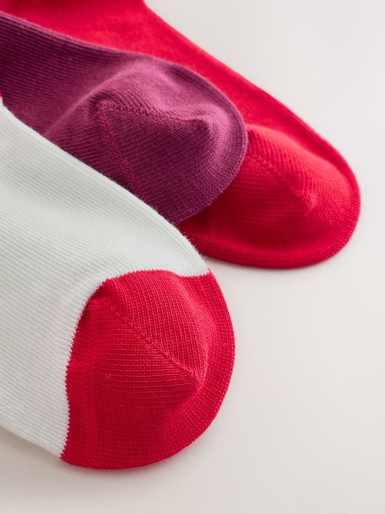 Red, White and Blue Cotton Rich Christmas Capybara Character Ankle Socks 3 Pack - Image 3 of 3 Red, White and Blue Cotton Rich Christmas Capybara Character Ankle Socks 3 Pack - Image 3 of 3