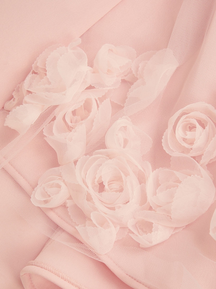 Monsoon Pink Eloise Appliqué Rose Dress - Image 4 of 4 Monsoon Pink Eloise Appliqué Rose Dress - Image 4 of 4