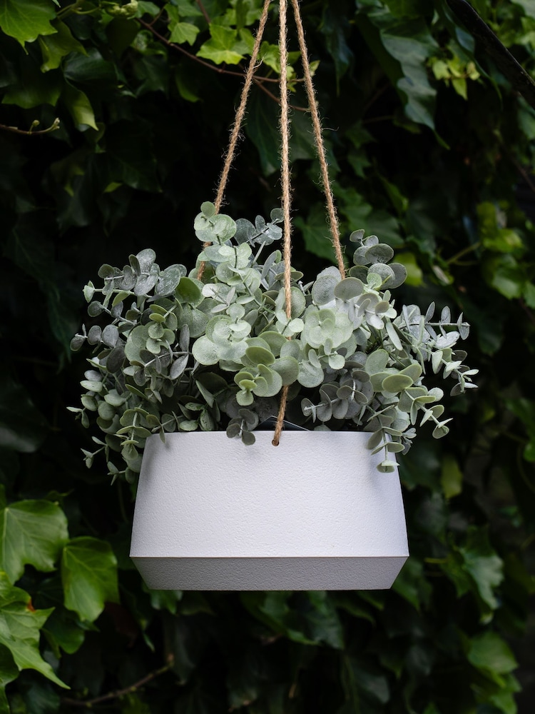 Scottish Everlastings Ltd Green Outdoor Faux Hanging Eucalyptus in Pot - Image 1 of 3 Scottish Everlastings Ltd Green Outdoor Faux Hanging Eucalyptus in Pot - Image 1 of 3
