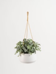Scottish Everlastings Ltd Green Outdoor Faux Hanging Eucalyptus in Pot - Image 3 of 3