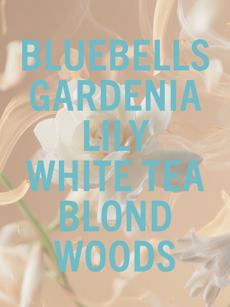Shay & Blue Tallulahs Camellia Gift Set 3 Piece - Image 3 of 3
