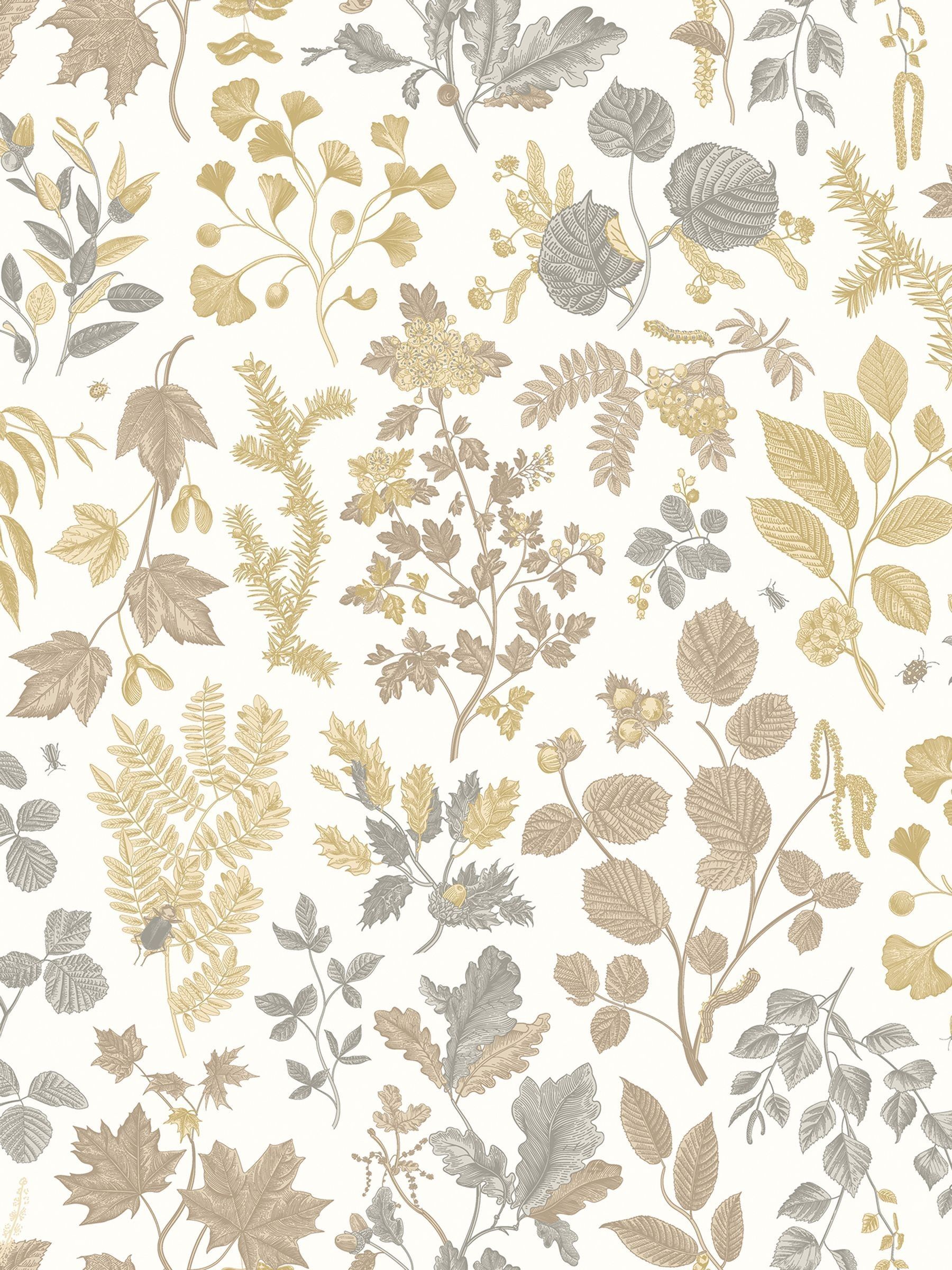 Buy Hoopla Walls Stone Sand Botanical Leaves A4 Wallpaper Sample from ...