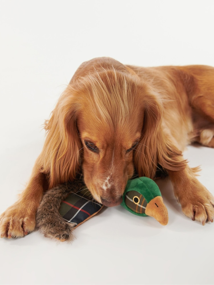 Barbour® Dog Pheasant Toy - Bild 2 von 7 Barbour® Dog Pheasant Toy - Bild 2 von 7
