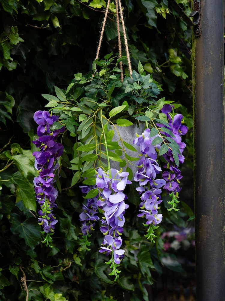 Scottish Everlastings Ltd Green Outdoor Hanging Artificial Wisteria & Ivy - Image 1 of 3