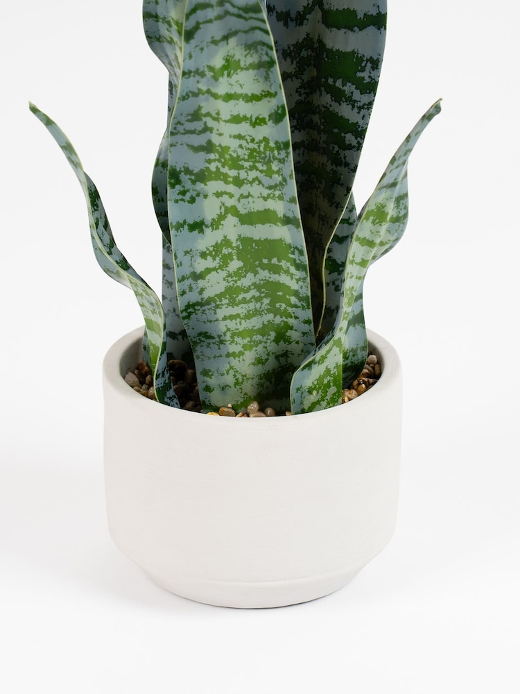 Scottish Everlastings Ltd Green Artificial Sansevieria in Cement pot - Image 2 of 3