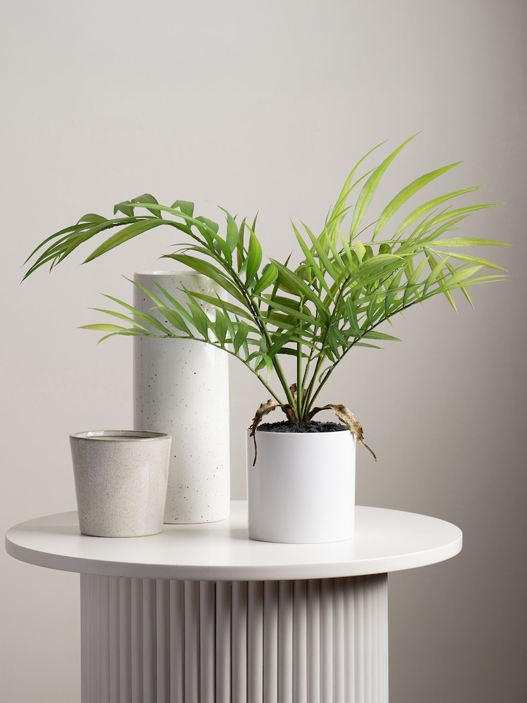 Scottish Everlastings Ltd Green Artificial Fern Tree in Plastic pot - Image 1 of 3 Scottish Everlastings Ltd Green Artificial Fern Tree in Plastic pot - Image 1 of 3