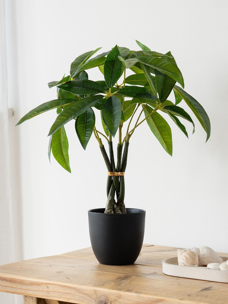 Scottish Everlastings Ltd Green Artificial Fortune Tree - Image 1 of 3