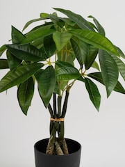 Scottish Everlastings Ltd Green Artificial Fortune Tree - Image 2 of 3