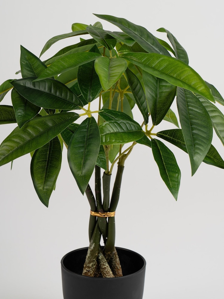 Scottish Everlastings Ltd Green Artificial Fortune Tree - Image 2 of 3