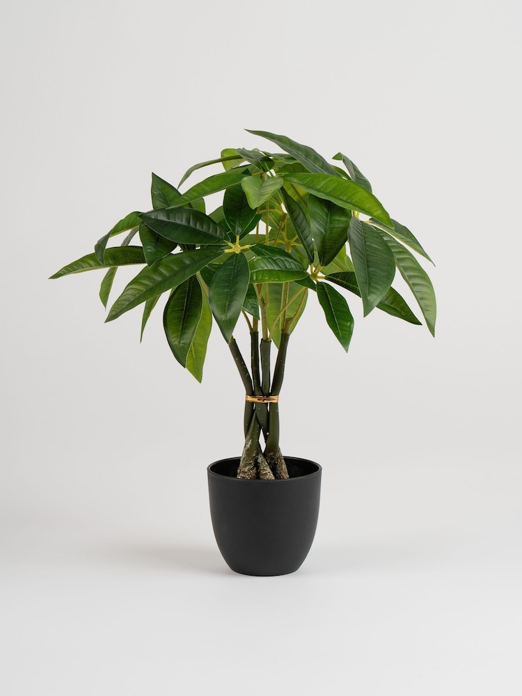 Scottish Everlastings Ltd Green Artificial Fortune Tree - Image 3 of 3