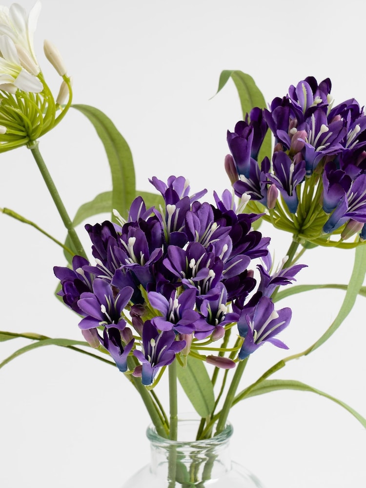 Scottish Everlastings Ltd Purple Artificial Agapanthus in Vase - Image 2 of 3