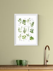 East End Prints White All the Herbs Wall Art Print by Natalie Cass - Image 1 of 2