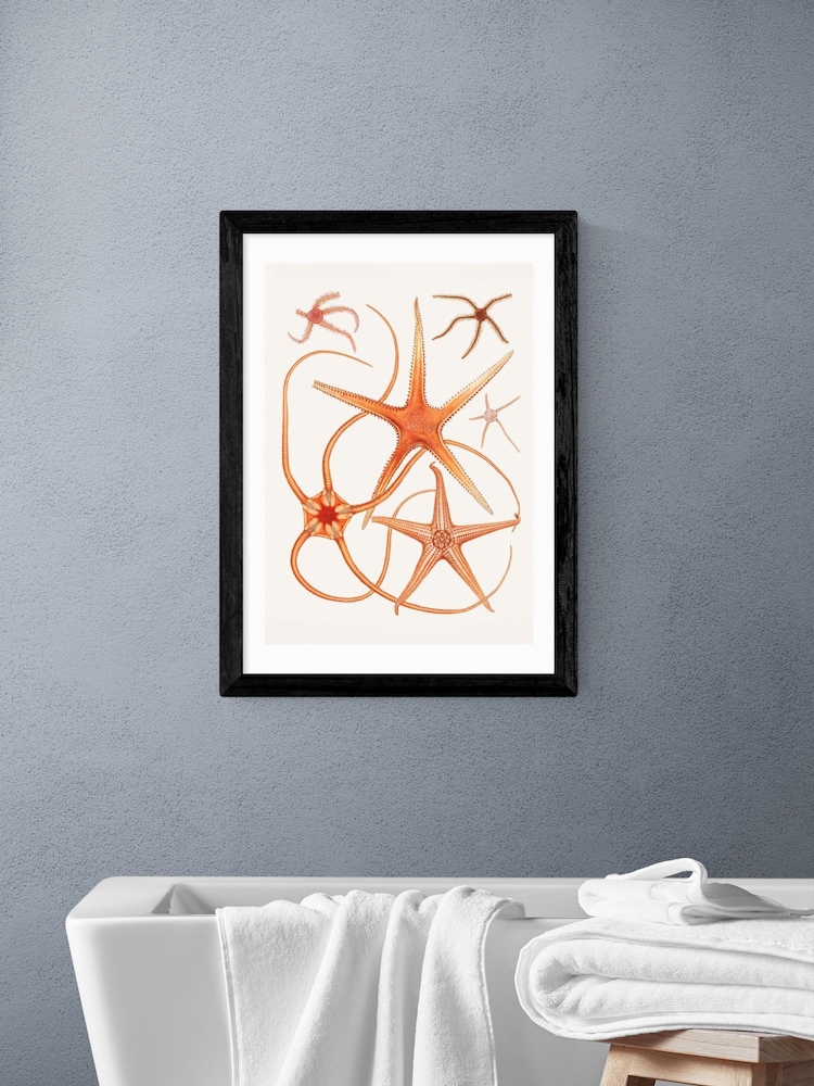 East End Prints Black Vintage Starfish 2 Wall Art Print by Oh Fine - Image 1 of 2 East End Prints Black Vintage Starfish 2 Wall Art Print by Oh Fine - Image 1 of 2