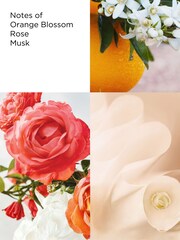 Elizabeth Arden Sunflowers Eau De Toilette Spray 100ml - Image 3 of 5