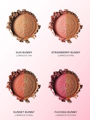Too Faced Sun Bunny Bronzer - Image 4 of 4