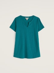 أخضر - Seasalt Cornwall Kellow T-Shirt - Image 4 of 5