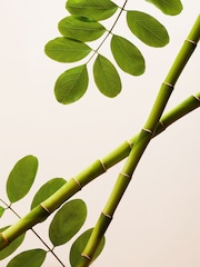 Rituals Polishing Exfoliator Moringa + Bamboo 75ml - Image 5 of 5