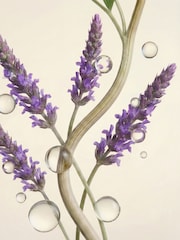 Rituals Anti-Ageing Lightweight Moisturiser 0.5% Bakuchiol + 3% Postbiotics 50ml - Image 5 of 5