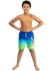 Character Blue Sonic The Hedgehog Swim Shorts - Image 11 of 11