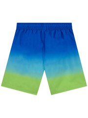 Character Blue Sonic The Hedgehog Swim Shorts - Image 2 of 11