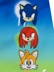 Character Blue Sonic The Hedgehog Swim Shorts - Image 3 of 11