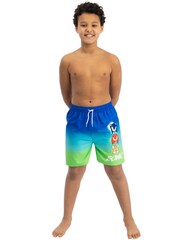 Character Blue Sonic The Hedgehog Swim Shorts - Image 7 of 11