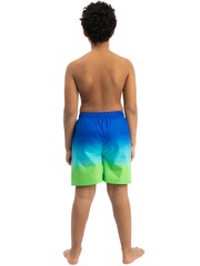 Character Blue Sonic The Hedgehog Swim Shorts - Image 8 of 11