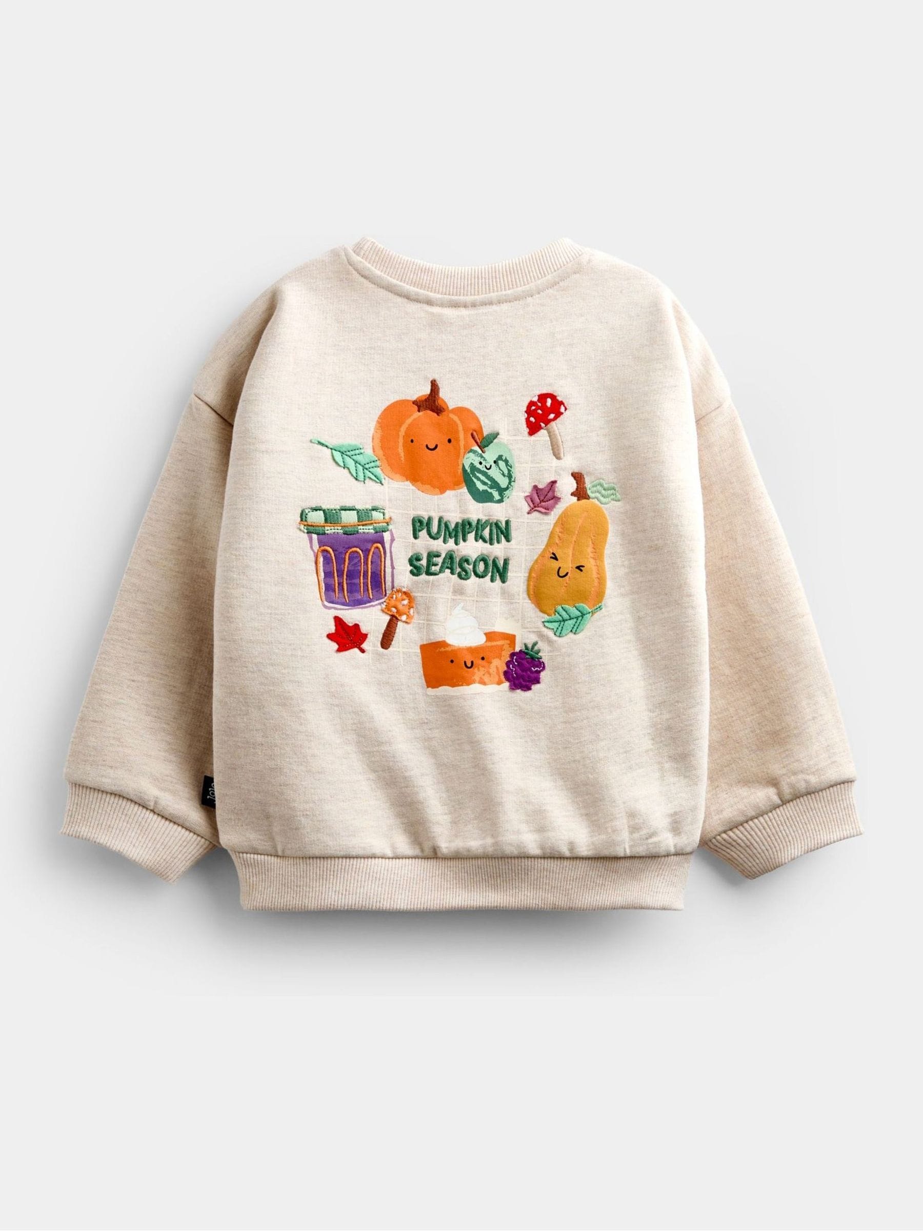 Buy Jojo Maman Bébé Natural Pumpkin Appliqué Sweatshirt from Next USA
