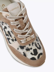 Carvela Brown Divina Trainers - Image 5 of 5