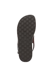 Sam Edelman Brown Lottie Regular Fit Strappy Sandals - Image 4 of 7