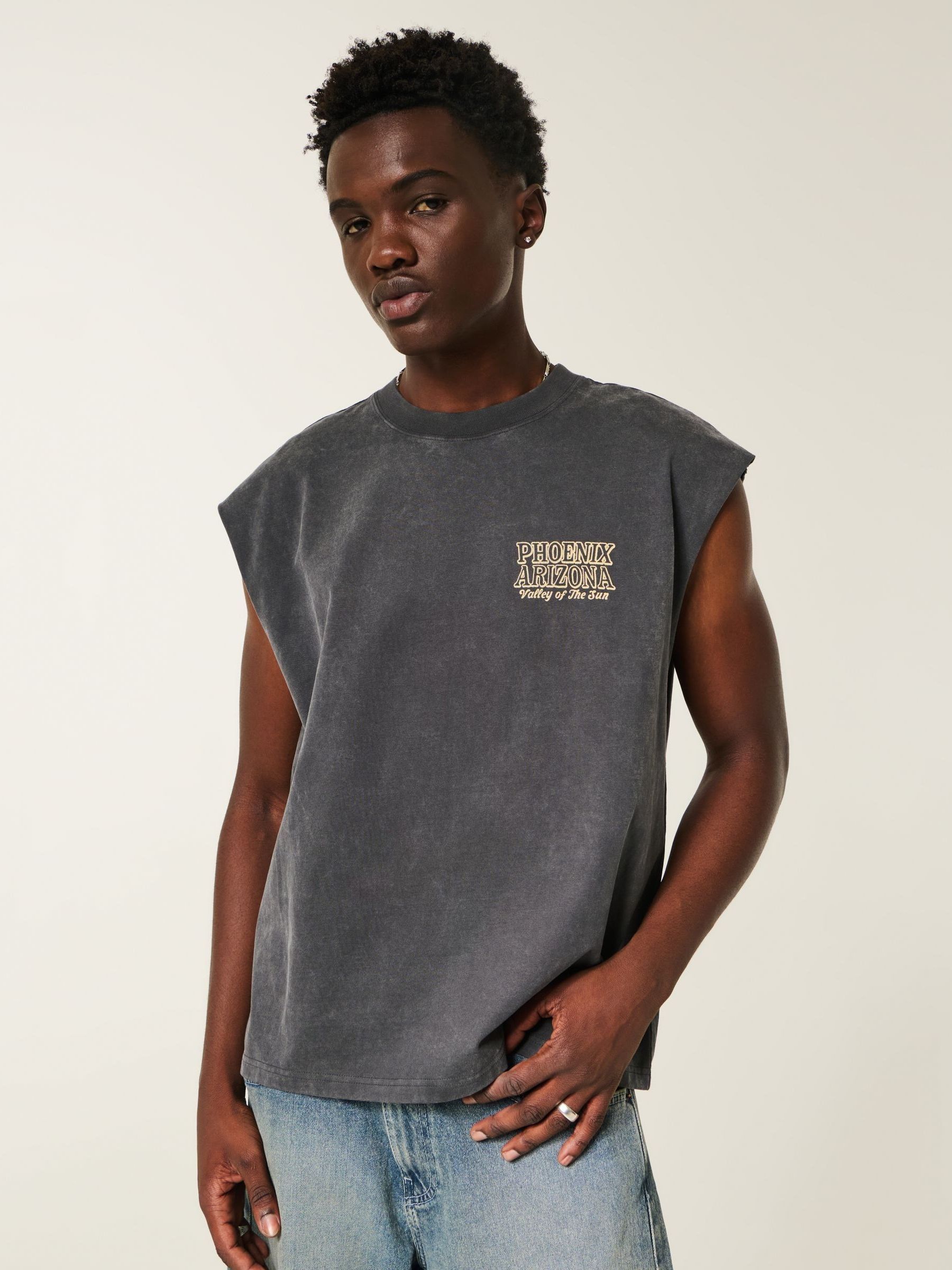 Buy Hollister Black Phoenix T-Shirt from Next USA