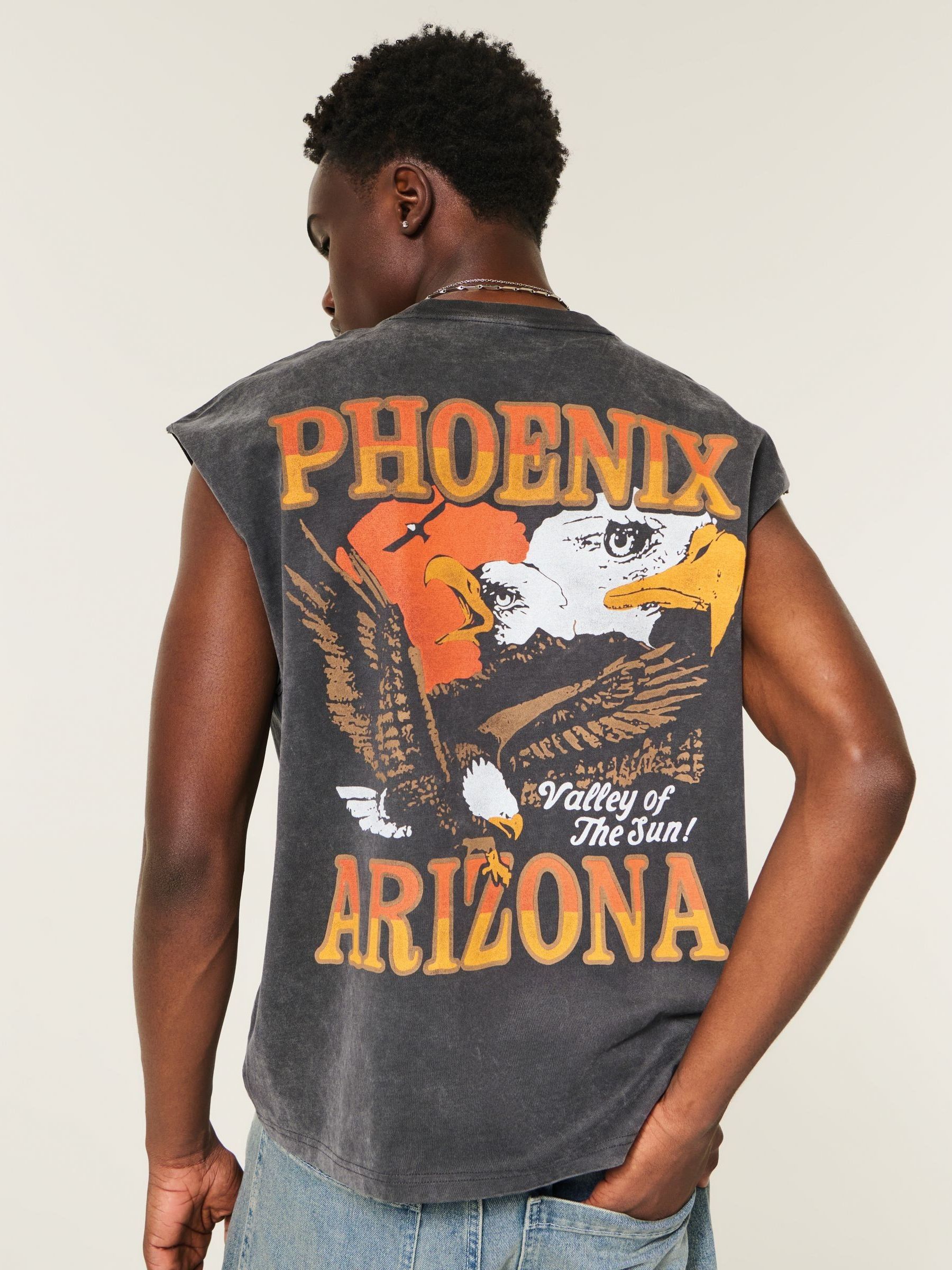 Buy Hollister Black Phoenix T-Shirt from Next USA