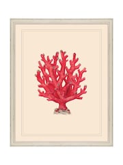 Brookpace Lascelles Red/White Coral IV' Red Coastal Wall Art Wall Art Frame - Image 1 of 4