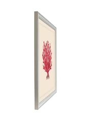 Brookpace Lascelles Red/White Coral IV' Red Coastal Wall Art Wall Art Frame - Image 3 of 4