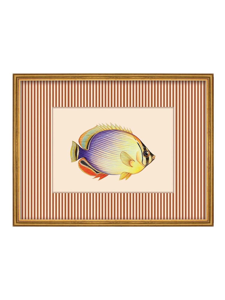 Brookpace Lascelles Red/Gold Tropical Fish II' Stripy Wall Art in Slim Frame - Image 1 of 4