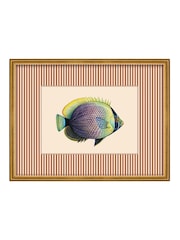 Brookpace Lascelles Red/Gold Tropical Fish VI' Stripy Wall Art in Slim Frame - Image 2 of 4