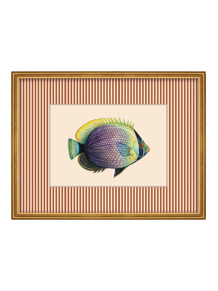 Brookpace Lascelles Red/Gold Tropical Fish VI' Stripy Wall Art in Slim Frame - Image 2 of 4