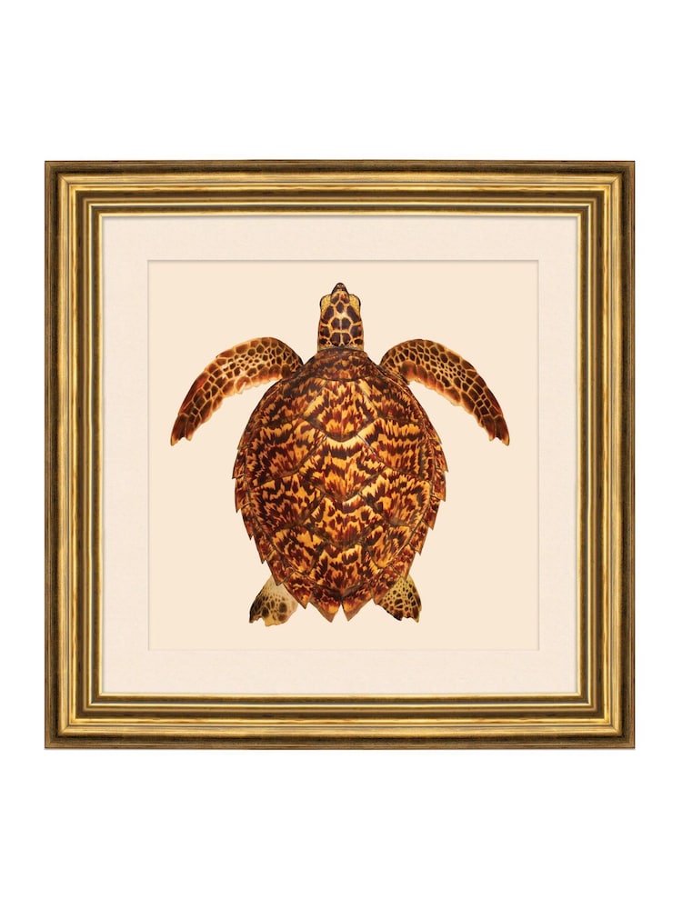Brookpace Lascelles Brown/Gold Turtle 3' Coastal Wall Art - Image 2 of 4 Brookpace Lascelles Brown/Gold Turtle 3' Coastal Wall Art - Image 2 of 4