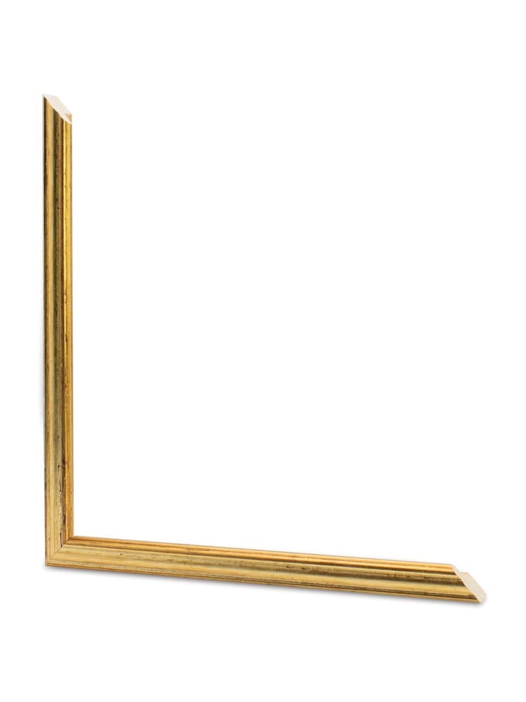 Brookpace Lascelles Red/Gold Tropical Fish V' Stripy Wall Art in Slim Frame - Image 4 of 4