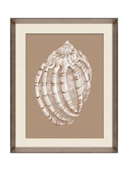 Brookpace Lascelles Beige\Brown Shell I' Wall Art in Deep Frame - Image 2 of 4