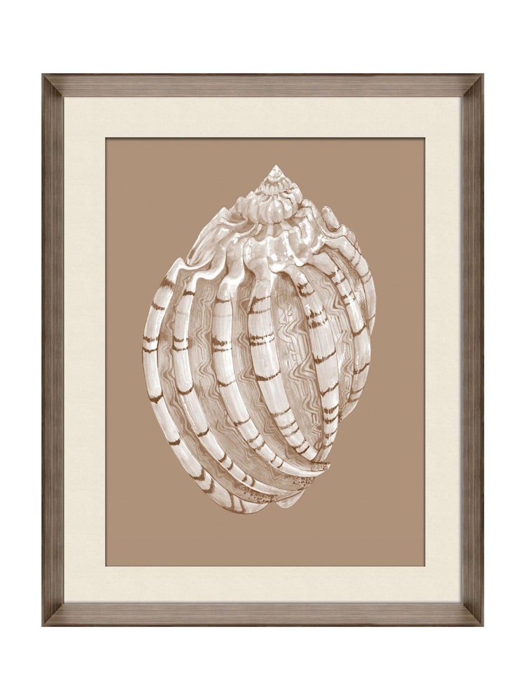 Brookpace Lascelles Beige\Brown Shell I' Wall Art in Deep Frame - Image 2 of 4