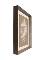 Brookpace Lascelles Beige\Brown Shell I' Wall Art in Deep Frame - Image 3 of 4